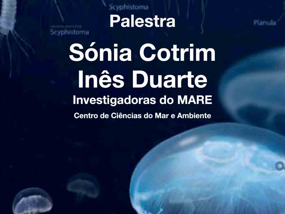 Gelatinosos na Costa—palestra integrante do “European Maritim&nbsp;Day”